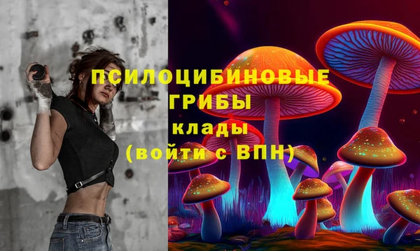 PSILOCYBIN Белоозёрский